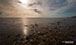 charmouth beach dorset